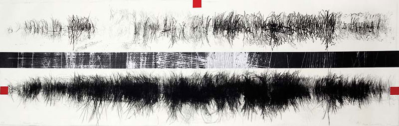 Rasa Zmuidiene, BRONZANA IGLA